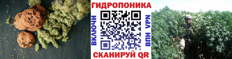 магазин  наркотиков  Златоуст  кракен маркетплейс  Cannafood конопля 