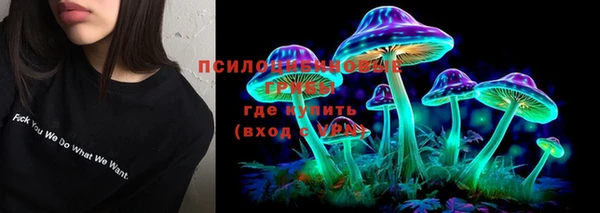 эйфоретик Алзамай