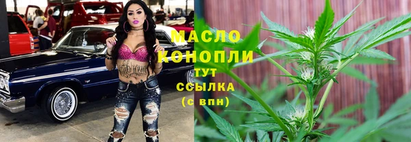 винт Абаза