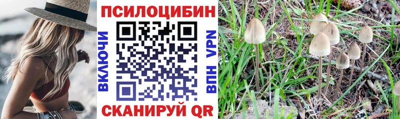 купить закладку  Златоуст  MEGA рабочий сайт  Галлюциногенные грибы Magic Shrooms 